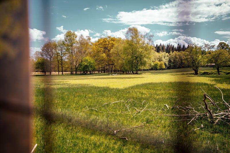 Spanning two-and-a-half miles, this off-road trail contains a deer park, owl conservation centre and two small nature reserves on the shores of Lough Neagh.
There are several walking routes to take, all of which travel through beautiful countryside scenery and picturesque views along the way.