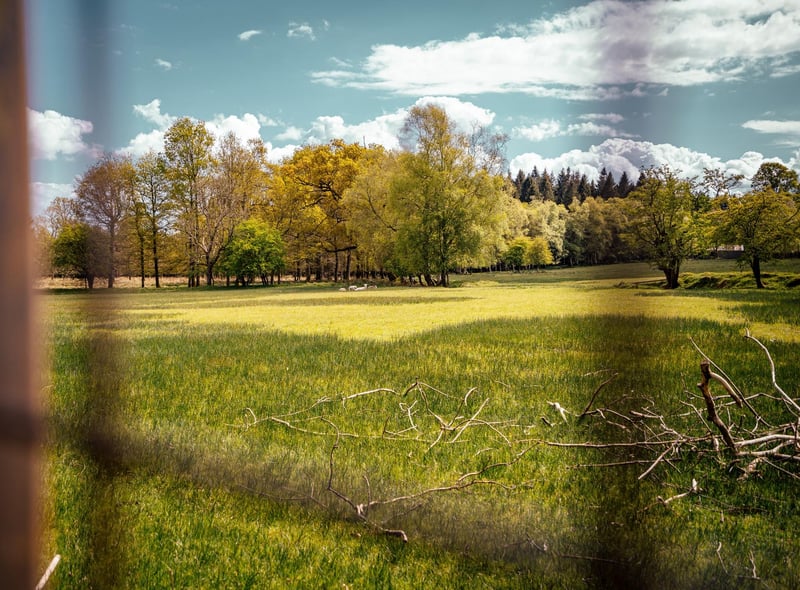 Spanning two-and-a-half miles, this off-road trail contains a deer park, owl conservation centre and two small nature reserves on the shores of Lough Neagh.
There are several walking routes to take, all of which travel through beautiful countryside scenery and picturesque views along the way.
