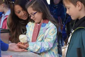 Meeting some real Easter chicks at Corbally Farm in Coleraine town centre during Coleraine BID's Easter family fun days.