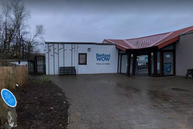 RSPB NI's Window on Wildlife (WOW) reserve located within Belfast Harbour Estate on Airport Road West. Picture: Google