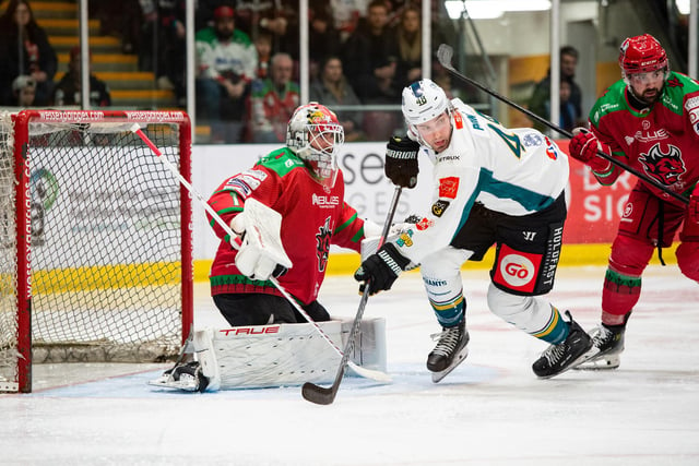 Belfast Giants Gregg Printz in action against the Cardiff Devils. Picture: James Assinder