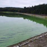 Blue-green algae has been detected at North Woodburn reservoir, DAERA has said.  Photo: Jim Jenkins