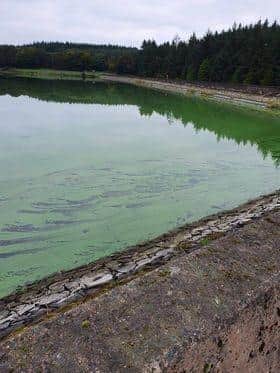 Blue-green algae has been detected at North Woodburn reservoir, DAERA has said. Photo: Jim Jenkins