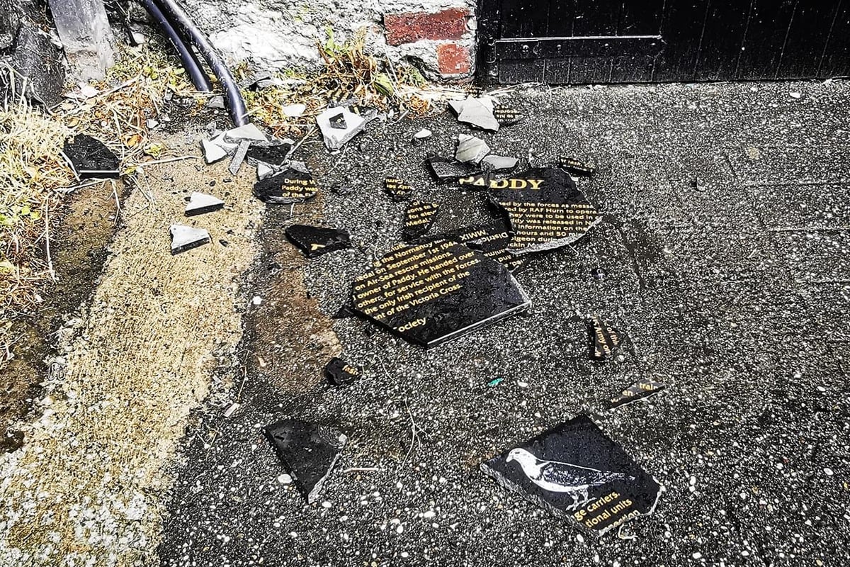 Paddy the pigeon: anger after Carnlough plaque marking bird's wartime efforts is destroyed - just days after Normandy 80 commemorations