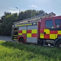 Specialist Animal Rescue team tasked to blaze in Gilford but 8 of the 9 calves perish due to the fire