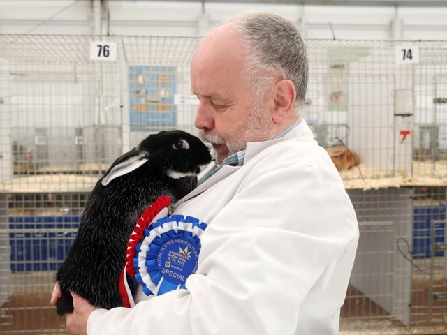 Jimmy Gordon with his Superior Champion Black Silver Fox rabbit.