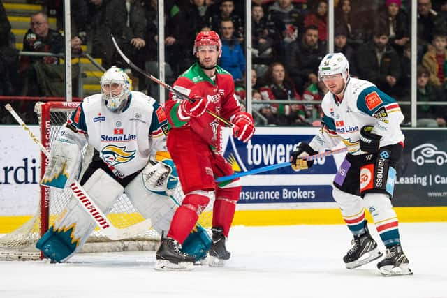 Belfast Giants defenceman Gabe Bast in action against the Cardiff Devils last weekend. Picture: James Assinder