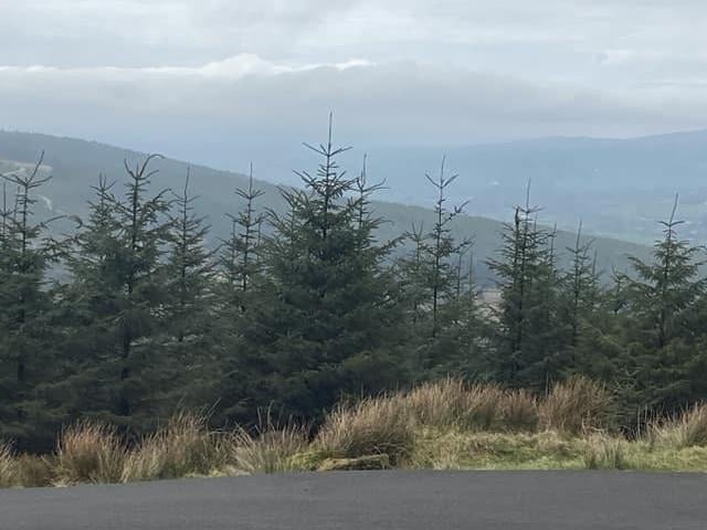 Mary Kate McGurk describes this view at Mullaghcarn Mountain, on the edge of Gortin Glen Forest Park, as "absolutely breathtaking".