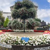 Coleraine - Winner of the Large Town/Small City Category in Translink Ulster in Bloom 2023. CREDIT ULSTER IN BLOOM
