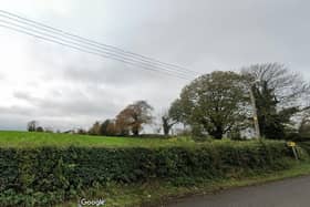 Power lines 'dangerously low' on Moy Road, Portadown, Co Armagh. Photo courtesy of Google