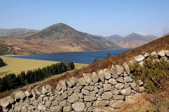Silent Valley. Photo: submitted