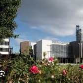 The Vice-Chancellor of Ulster University says a veterinary school could come to Coleraine campus, but not without funding from the Northern Ireland Executive. CREDIT UU