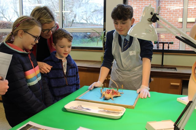 Dissection in action in the Loreto Biology Department on Open Day.