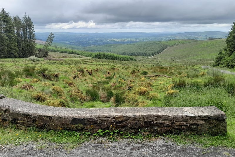 For those seeking a scenic drive, Gortin Glen Forest Park offers a 5-mile-long route that’s perfect for car enthusiasts and Instagram lovers alike. Winding its way through one of Northern Ireland’s most stunning forest parks, this tarmacked drive has no shortage of stunning spots to stop and snap that perfect picture of your motor. As you take in the scenery, keep an eye out for the wild deer that roam the park and for those looking to make it a full day out, you can even climb to the top of one of the viewpoints, where you’ll find one of the Giants of the Sperrin sculptures, offering both a rewarding view and a memorable photo opportunity.
