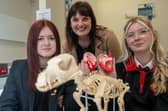 Abbey Brown and Katie Hepburn from Limavady High School chat with Veterinary Nursing lecturer at NWRC Limavady Gillian Morrow.