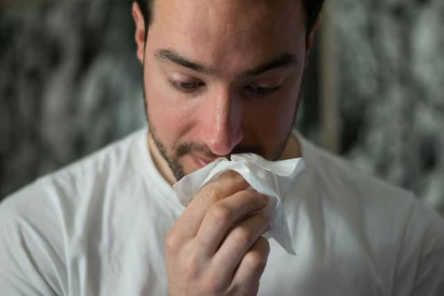 The Met Office is forecasting a rise in pollen levels across Northern Ireland. Picture: brittany-colette / unsplash