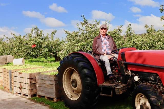 Bramley Apple Baking &amp; Orchard Visit, County Tyrone
