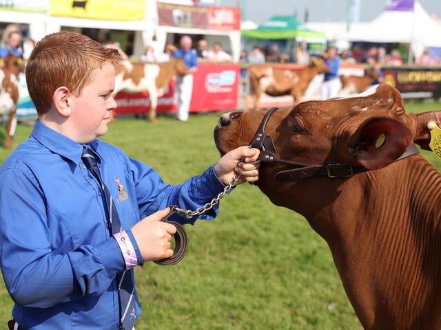 12-year-old James Wylie from Newtownabbey in action in the show ring.