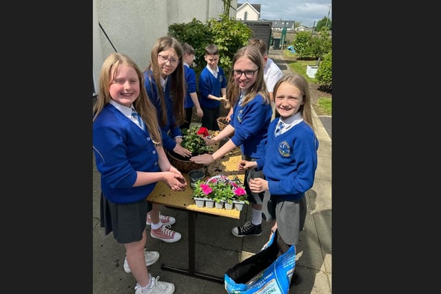P6 and P7 pupils from St Mary's Primary School, Derrytrasna helping plant some flowers as part of a project to enhance their gardening skills organised by Portadown Wellness Centre.
