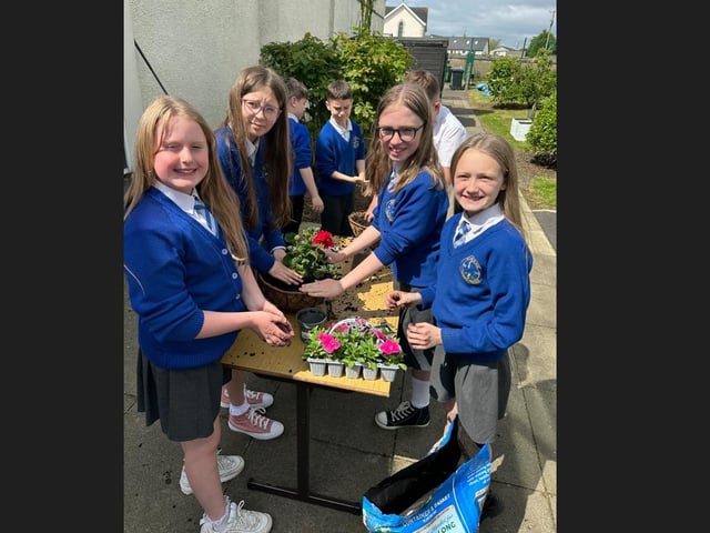 P6 and P7 pupils from St Mary's Primary School, Derrytrasna helping plant some flowers as part of a project to enhance their gardening skills organised by Portadown Wellness Centre.
