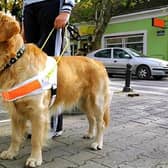 Kilrea Flower Show Committee fundraised for Guide Dogs NI