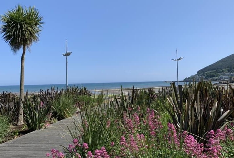 "Beautiful Newcastle is my winner," says Sandra Mawhinney Gourley. The popular seaside town is a favourite for many with its promenade, shops, amusements and other attractions - not forgetting the fabulous backdrop of the majestic Mountains of Mourne.