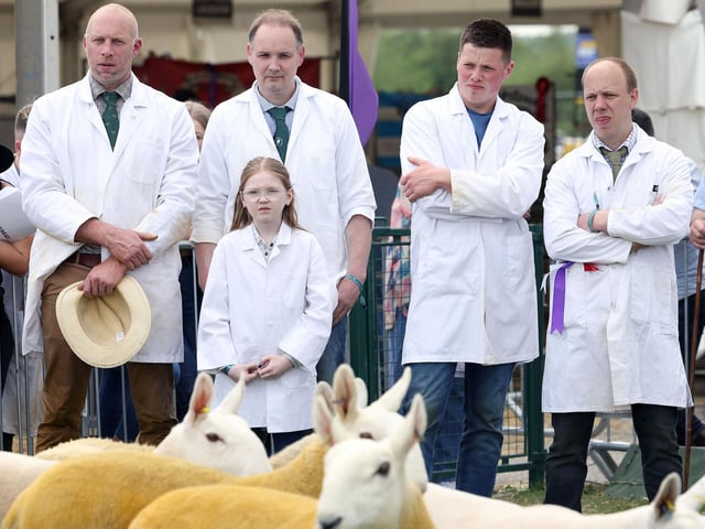 Keeping an eye on the competition in the sheep show ring at Balmoral.