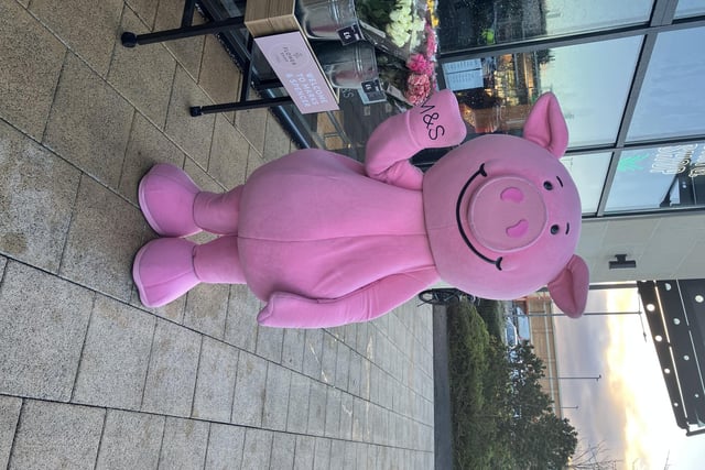 The main 'man' Percy the Pig welcomes shoppers to the new M&S store in Coleraine.
