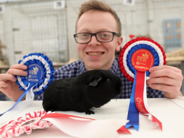 Mark Cairns with his Superior Champion Best Self Black guinea pig.