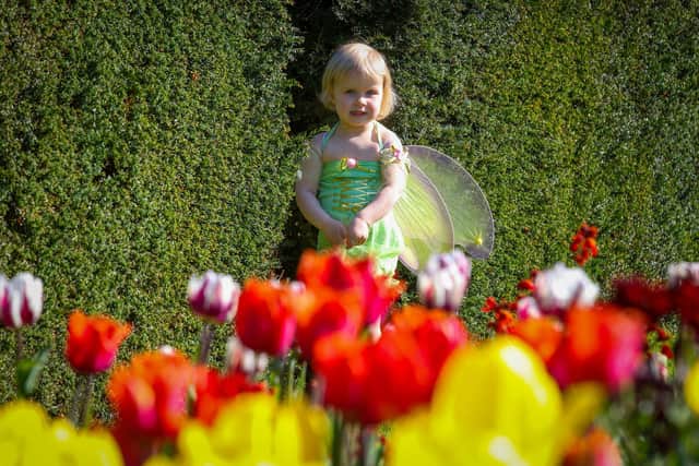 Sadie Morrow visits the walled garden at Glenarm Castle. Picture: Paul Faith.