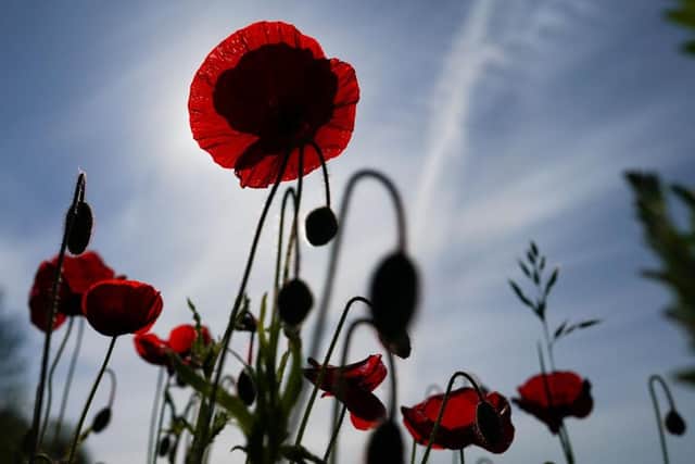 Plans are being made in Armagh City, Banbridge and Craigavon Borough to commemorate the 80th Anniversary of Victory in Europe Day (VE Day). Picture: Ian Forsyth/Getty Images.