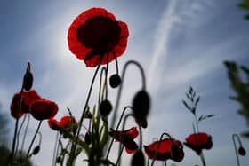 Plans are being made in Armagh City, Banbridge and Craigavon Borough to commemorate the 80th Anniversary of Victory in Europe Day (VE Day). Picture: Ian Forsyth/Getty Images.