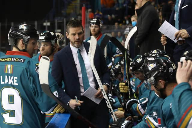 Belfast Giants' coach Adam Keefe