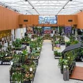 Inside the Dobbies store at The Junction in Antrim. Picture: Chris Humphreys Photography Ltd