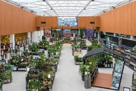 Inside the Dobbies store at The Junction in Antrim. Picture: Chris Humphreys Photography Ltd