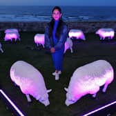 Illuminated sheep art work at Bamburgh with artist Deepa Mann-Kler
 (photo: Raoul Dixon)