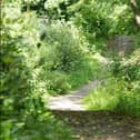 Oakfield Glen (stock image).