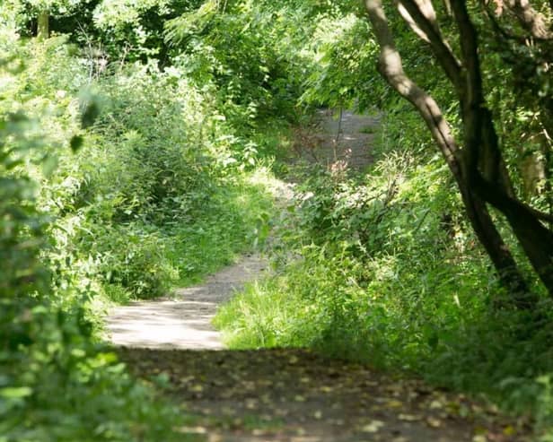 Oakfield Glen (stock image).