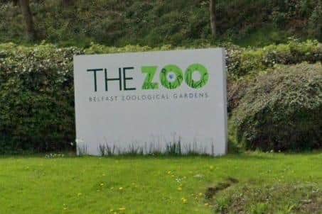 Belfast Zoo will remain closed today (Monday, July 28) due to a maintenance issue with the water supply.  Photo: Google