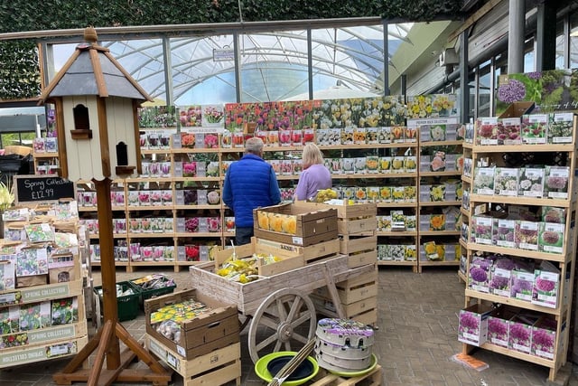 Mid Ulster Garden Centre has beautiful scenery for you and your family to walk around and get out of the house this spring. You’ll be able to select from a wide range of garden furniture whether it’s outdoor dining, outdoor lounging, garden benches or furniture accessories that you’re interested in, Mid Ulster Garden Centre will have it all. 
Not only will you be blown away by all the beautiful plants on offer, but you can go check out the relaxing atmosphere in the coffee shop by having some lunch or a quick treat. 
Go to their website to find out more www.midulster.co.uk.