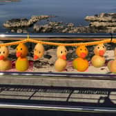 Running the length of The Promenade in Portstewart, the banner of over 100 little hand-knitted yellow ducks and flags had been destroyed allegedly by youths and some of the ducks ripped off the cable ties, with some left without bodies