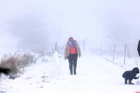 Members of the public pictured on Divis Mountain on the outskirts of west Belfast. Picture: Jonathan Porter / PressEye
