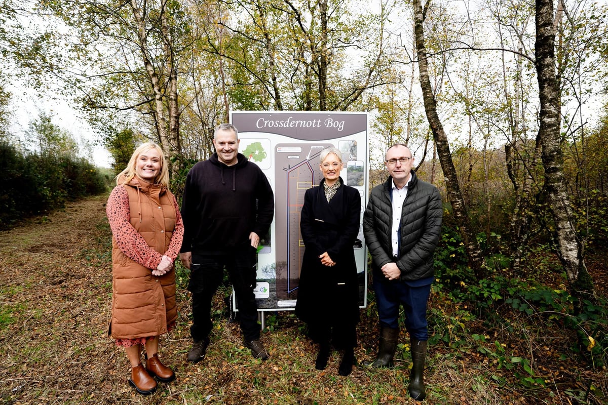 Probation's Crossdernott Bog project 'making a difference' in Mid Ulster area