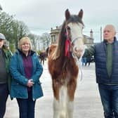 Young Stock Show Champion – Yearling Colt – Hallmark Maverick from William Hall, Finvoy, pictured with Judge John Henderson and Pauline Glass (Steele Farm Supplies – Sponsor).