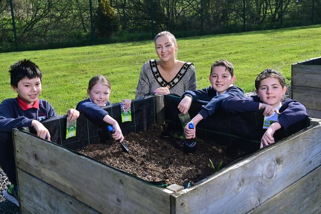 Children from Maine Integrated Primary School, Randalstown, putting their new trowels to good use with help from the Deputy Mayor, Councillor Leah Smyth.