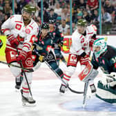 Belfast Giants’ Tyler Beskorowany during Saturday’s CHL game at The SSE Arena, Belfast.   Photo by William Cherry/Presseye