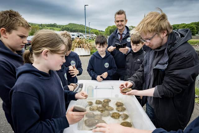 Robert Walsh from Ulster Wildlife shows pupils from Seaview Integrated Primary School how to clean and measure the native oysters at the new Glenarm nursery, managed by the conservation charity.