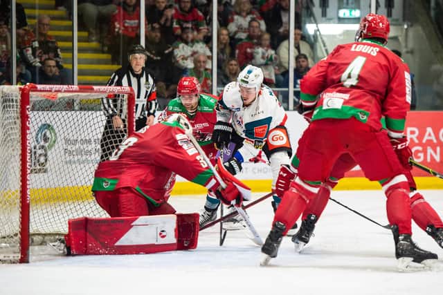 Belfast Giants' Colby McAuley in front of the Cardiff Devils' goal during the Giants weekend roadtrip. Picture: James Assinder