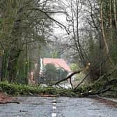 Storm damage at Dans Road, Ballymena, in January (archive photo). Photo: Pacemaker
