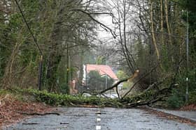 Storm damage at Dans Road, Ballymena, in January (archive photo). Photo: Pacemaker